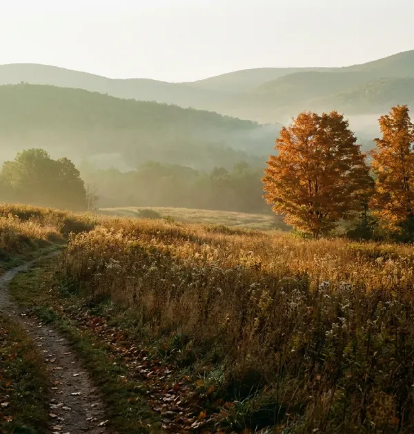 Autumn meadow and softly layered mountain hills, an original Vermont-inspired illustration